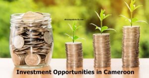 Les opportunités d'investissement les plus rentables au Cameroun